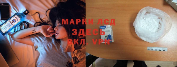 хмурый Алзамай