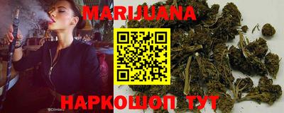 индика Партизанск