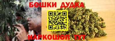 индика Партизанск