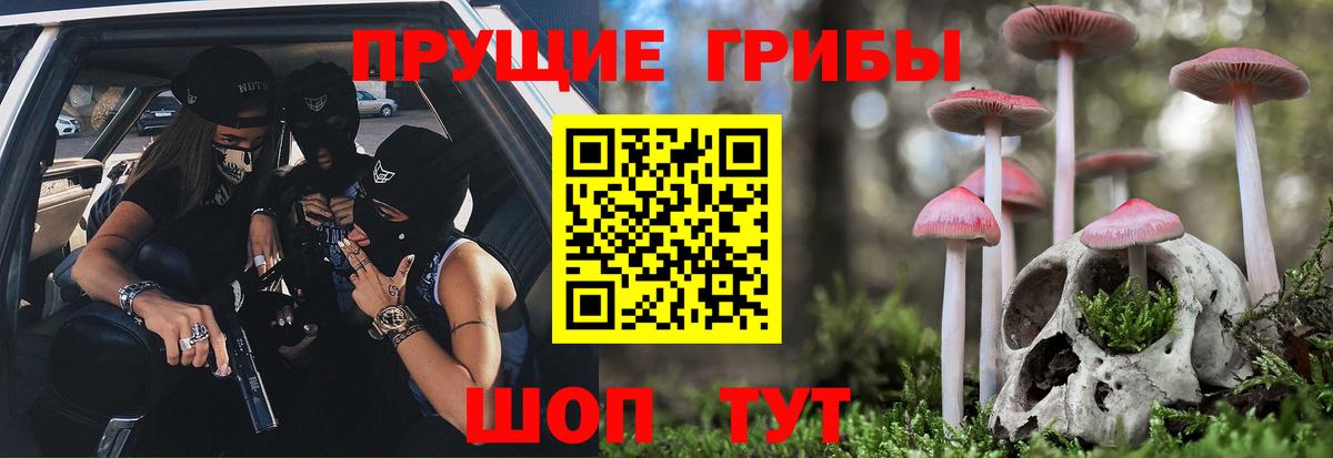 Галлюциногенные грибы Psilocybine cubensis  Вход с VPN  Удомля 